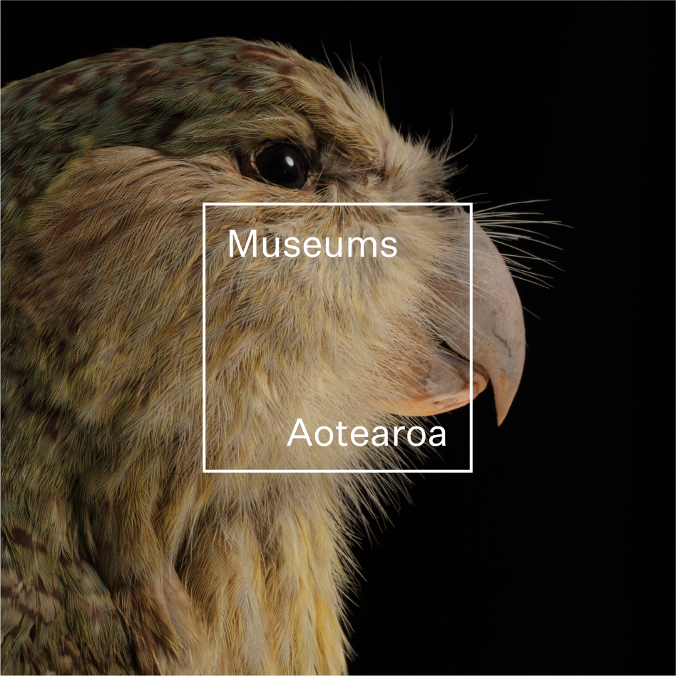 museums-aotearoa-brandA-6