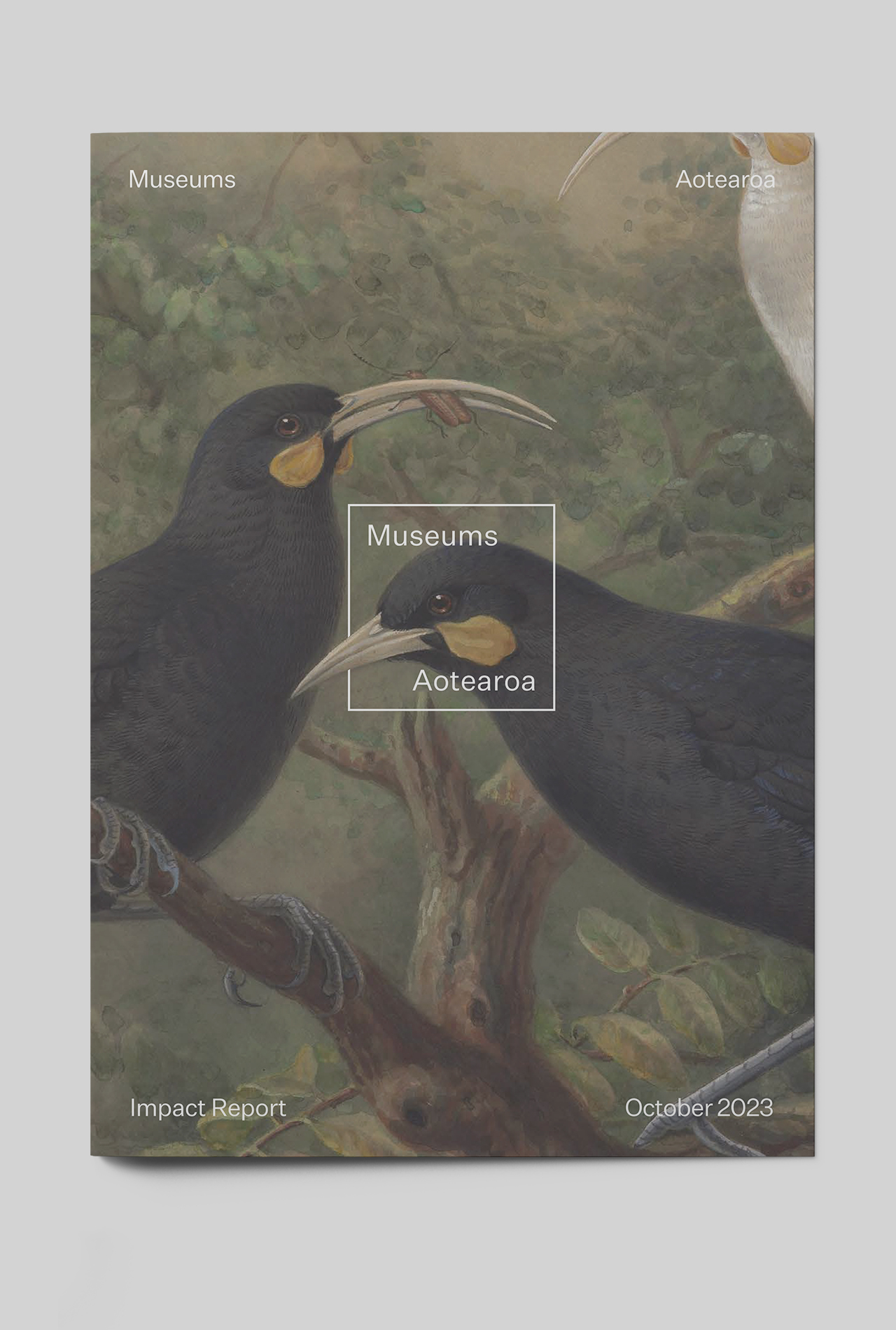 museums-aotearoa-cvr-B-4