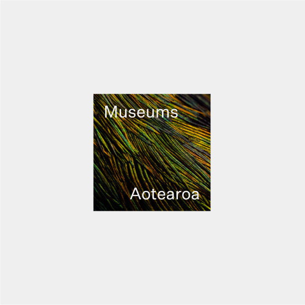 museums-aotearoa-brandB-4