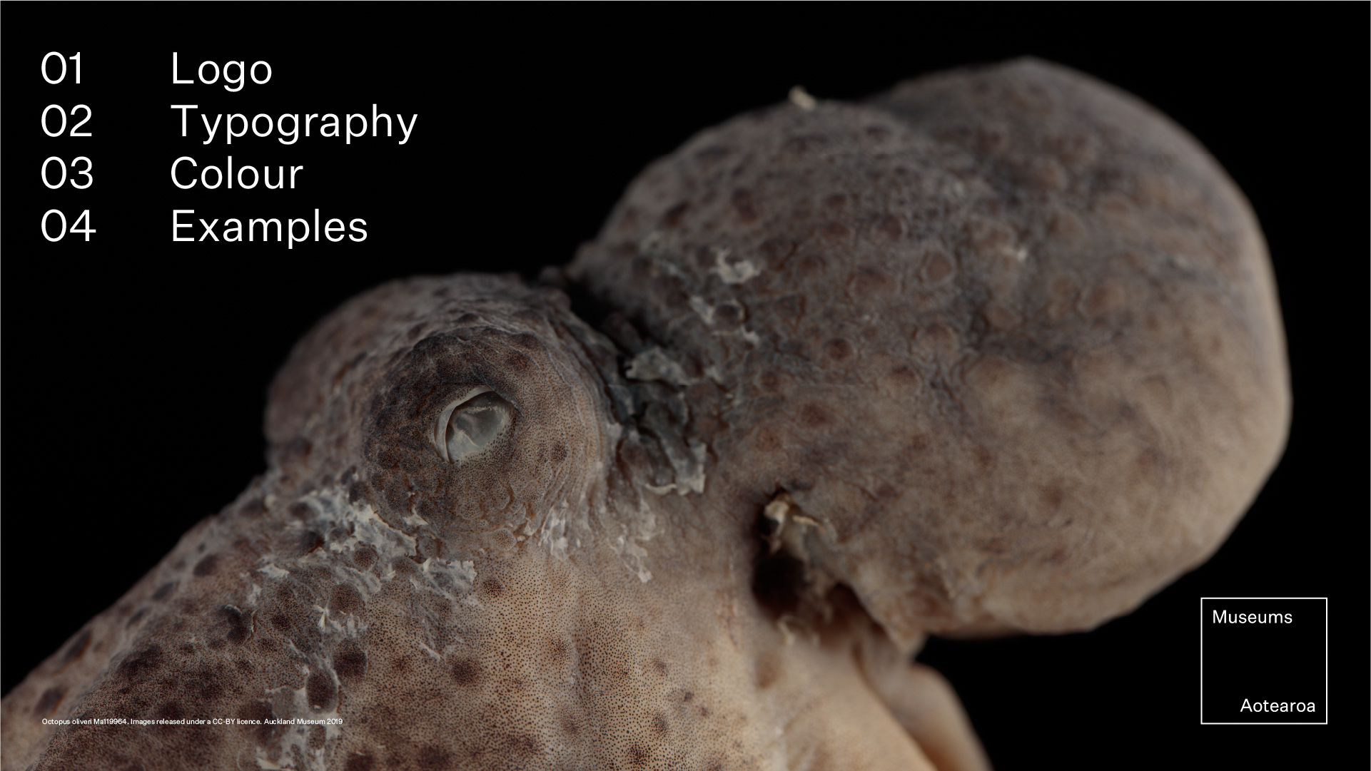 museums-aotearoa-guidelinesA-12